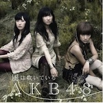 AKB48 /「風は吹いている -Type B- (Single)」